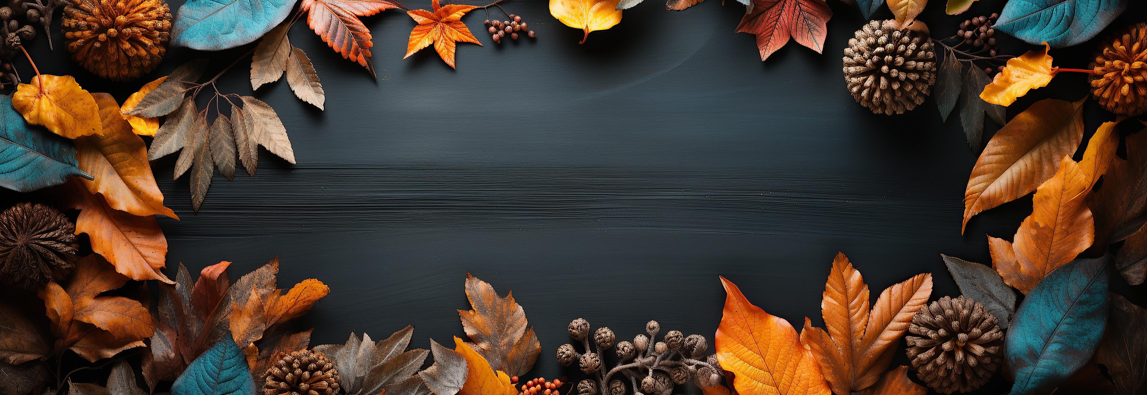 Autumn Black Background Leaves